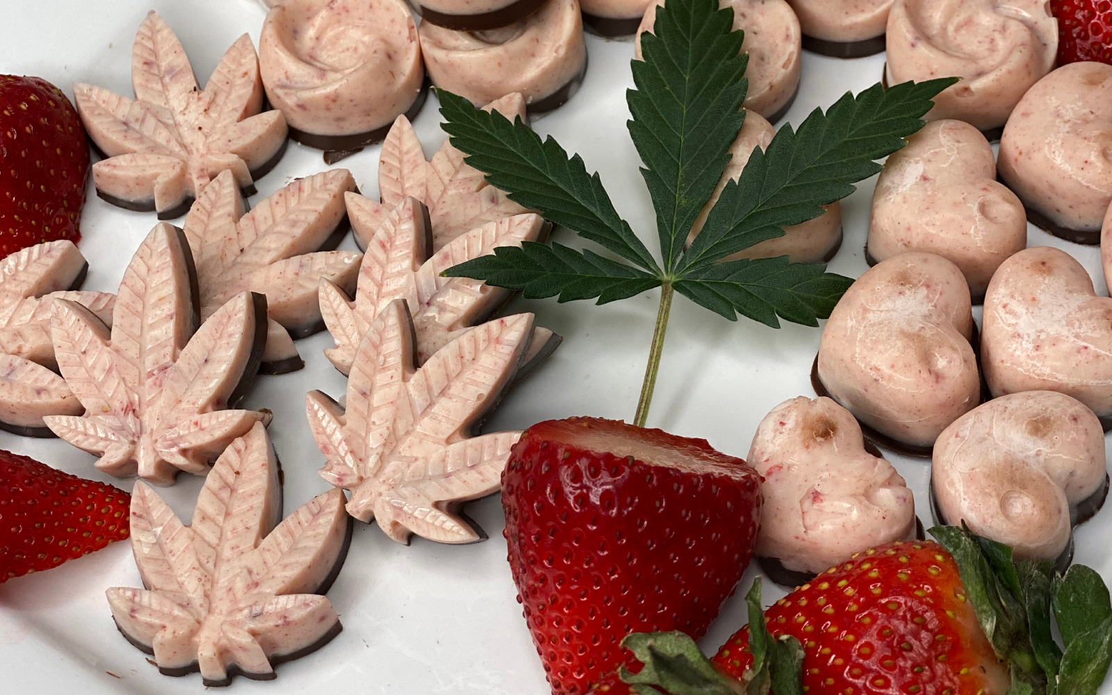Cannabis chocolates recipe - Hello High Cooks