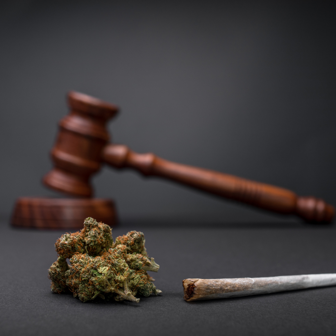 United States Drug Enforcement Administration (DEA) has announced plans to reclassify marijuana as a less dangerous substance.